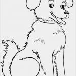 Vorlage Trainingsplan Hund Wunderbar Ausmalbilder Hunde ⋆ Dekoking Diy Bastelideen Dekoideen