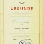 Vorlage Urkunde Zum Bearbeiten Großartig 21 Cool Vorlage Urkunde Zum Bearbeiten Vorräte