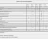 Vorlage Verpflegungsmehraufwand Excel Gut Fantastisch Kompetenzmatrix Vorlage Galerie Beispiel