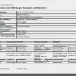 Vorlage Verschwiegenheitserklärung Wunderbar Vertrag Vorlage Digitaldrucke 639 top Angebote