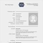 Vorlage Wartungsplan Muster Großartig Vorlage 28 Tabellarischer Lebenslauf