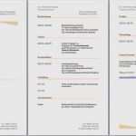 Vorlage Weinetikett Fabelhaft Lebenslauf Vorlage Word Gratis Cool Lebenslauf Vorlage