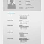 Vorlage Word Lebenslauf Kostenlos Bewundernswert Lebenslauf Vorlage 11 Modernes Bewerbungsdesign Word