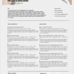 Vorlage Word Lebenslauf Kostenlos Erstaunlich 1000 Ideas About Vorlage Lebenslauf Kostenlos On