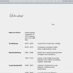 Vorlage Word Lebenslauf Kostenlos Wunderbar Lebenslauf Vorlagen Muster Und Beispiele