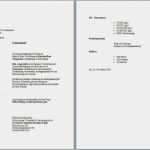 Vorlage Word Lebenslauf Süß Lebenslauf Vorlagen Word Download
