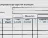 Vorlage Zur Dokumentation Der Täglichen Arbeitszeit Datev Kennwort Cool Vorlage Zur Dokumentation Der Täglichen Arbeitszeit Datev