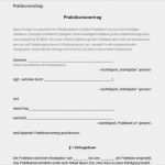 Vorlage Zur Dokumentation Der Täglichen Arbeitszeit Muster Schönste Vorlage Zur Dokumentation Der Täglichen Arbeitszeit Muster