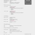 Vorlagen Bewerbung Praktikum Schüler Erstaunlich Lebenslauf Praktikum Schüler Klasse 9 Kostenlose