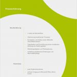 Vorlagen Bewerbung Word Einzigartig Musterbewerbung Vorlagen Bewerbung Agentur