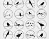 Vorlagen Brandmalerei Gratis Cool Birds Silhouettes 1 313" 25mm 30mm 1" 1 5" button Images