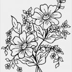 Vorlagen Brandmalerei Gratis Fabelhaft Strauss