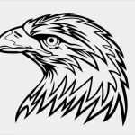 Vorlagen Brandmalerei Gratis Süß Adler Malvorlage Ausmalbilder Von Alle Malvorlagen