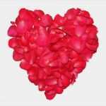 Vorlagen Dsgvo Kostenlos Schönste Valentinstag Herz Aus Roten Rosenblüten Lizenzfreie