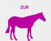 Vorlagen Einladung Kindergeburtstag Zum Ausdrucken Süß Geburtstagseinladung Pferde Basteln ⋆ Geburtstag Einladung