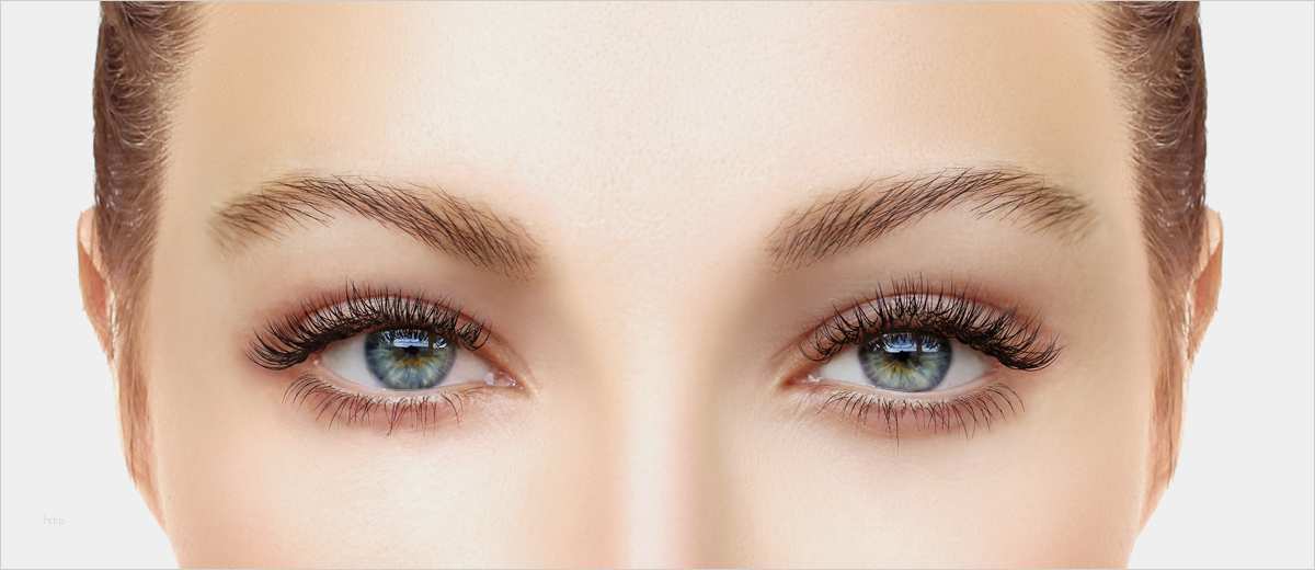 Vorlagen Für Augenbrauen Angenehm Zoeva Produkte Für Perfekten Augenbrauen