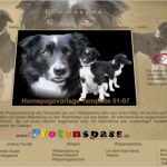 Vorlagen Für Fotocollagen Angenehm Home Pfotenspass Hunde Homepage Für Hundezüchter