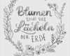 Vorlagen Für Handlettering Neu Lettering Vorlagen Süß Handlettering Schmuckelemente 21 95