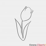 Vorlagen Für Laubsägearbeiten Angenehm Tulpe Basteln Mit Holz Holzfiguren Holz Deko Bastelideen