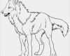 Vorlagen Für Pages Bewundernswert Malvorlagen Wolf Ausmalbilder Für Kinder