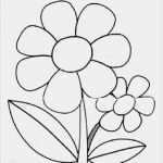 Vorlagen Für Pages Erstaunlich Blumen Malvorlage – Ausmalbilder Für Kinder