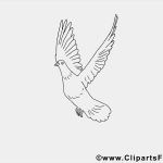 Vorlagen Für Reden Inspiration Pfingsttaube Vorlagen Für Unterricht