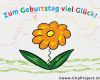 Vorlagen Geburtstagswünsche Angenehm Geburtstagswünsche Bilder