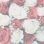 Vorlagen Hochzeit Kostenlos Wunderbar Kostenloses Briefpapier "hochzeit" Vorlagen Zum Selbst