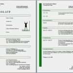 Vorlagen Office Fabelhaft Kostenlose Lebenslaufvorlagen Zum Herunterladen Fice