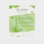 Vorlagen Publisher Neu Flyer Vorlagen Publisher Angenehm Free Templates for