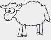 Vorlagen Schafe Zeichnen Bewundernswert Schaf