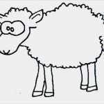 Vorlagen Schafe Zeichnen Bewundernswert Schaf
