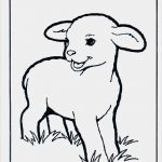 Vorlagen Schafe Zeichnen Cool Lämmchen Malvorlagen Haus Und Bauernhoftiere