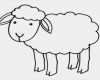 Vorlagen Schafe Zeichnen Cool Schaf Ausmalbilder Tiere 27 Vorlagen Schablonen