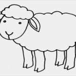 Vorlagen Schafe Zeichnen Cool Schaf Ausmalbilder Tiere 27 Vorlagen Schablonen