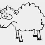 Vorlagen Schafe Zeichnen Erstaunlich Schaf