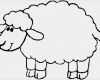 Vorlagen Schafe Zeichnen Erstaunlich Seite 2