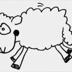 Vorlagen Schafe Zeichnen Genial Schaf
