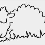 Vorlagen Schafe Zeichnen Großartig Schaf