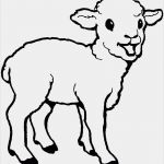 Vorlagen Schafe Zeichnen Gut Schaf