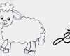 Vorlagen Schafe Zeichnen Schön Schaf Aus Einer Wolke Zeichnen ☁️ Schnell 🐑 Einfach 🐑 How