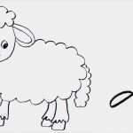 Vorlagen Schafe Zeichnen Schön Schaf Aus Einer Wolke Zeichnen ☁️ Schnell 🐑 Einfach 🐑 How