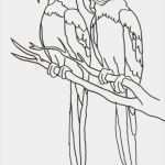 Vorlagen Window Color Fabelhaft Marias Decoideen Windowcolor Tiere 2