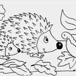 Vorlagen Window Color Herbst Einzigartig 21 Frisch Windows Color Vorlagen – Malvorlagen Ideen