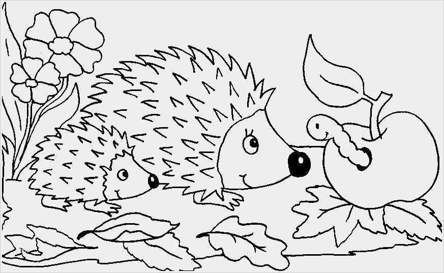 Vorlagen Window Color Herbst Einzigartig 21 Frisch Windows Color Vorlagen – Malvorlagen Ideen