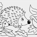 Vorlagen Window Color Herbst Gut Window Color Malvorlagen Herbst Ausmalbilder F R Kinder