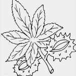 Vorlagen Window Color Herbst Inspiration Window Color Vorlagen Herbst Einzigartig Index