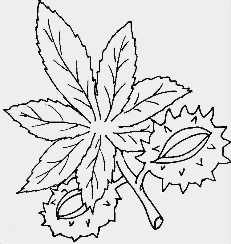 Vorlagen Window Color Herbst Inspiration Window Color Vorlagen Herbst Einzigartig Index