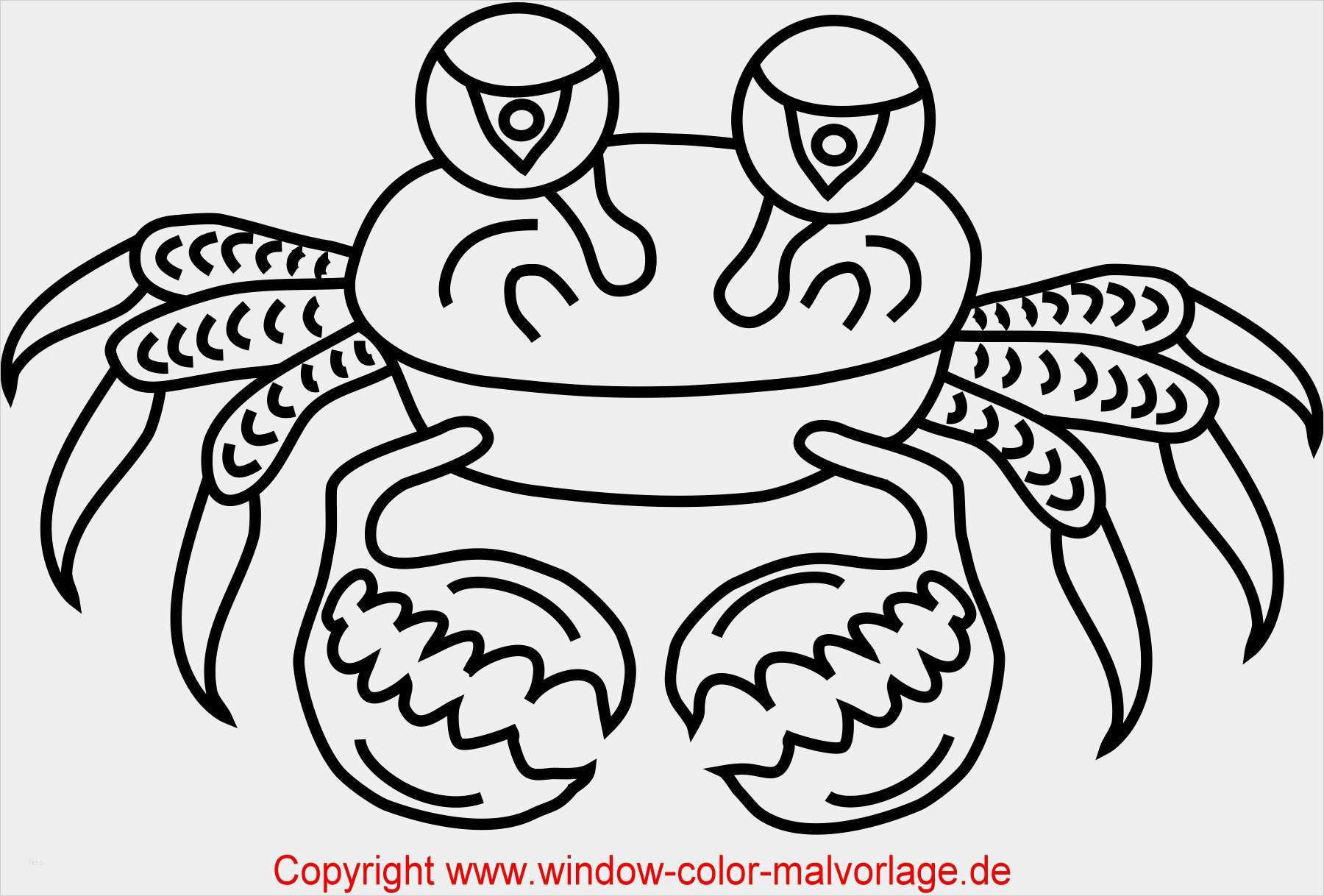 Vorlagen Window Color Hübsch Kostenlose Malvorlagen Window Color Fensterbilder Zum