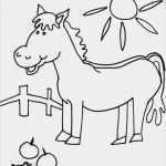 Vorlagen Window Color Neu Window Color Vorlagen Az Colorare